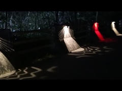 Солнечные света KF14A стены сада