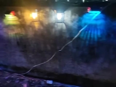 разнообразия солнечных светов сада