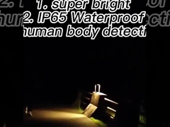 солнечные приведенные в действие света датчика движения СИД